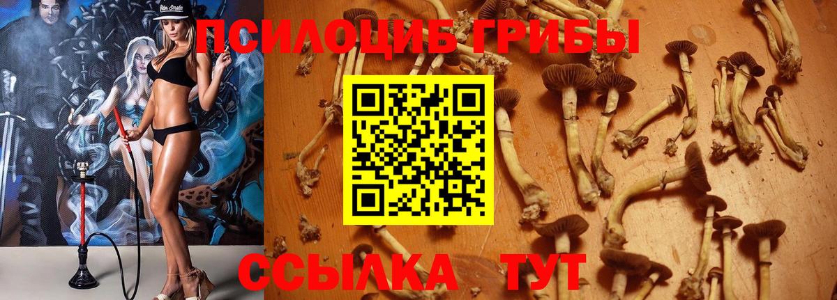 Надым  Псилоцибиновые грибы мухоморы  Вход с VPN 