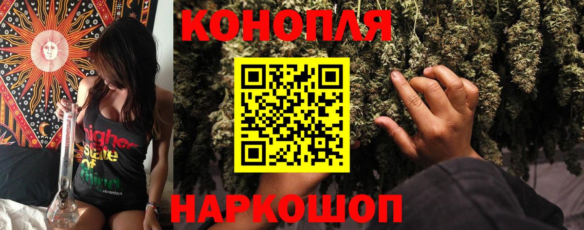 Каннабис сатива Надым